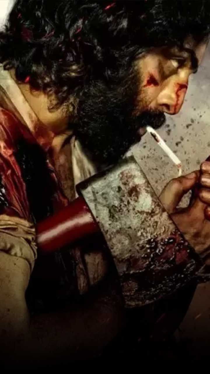 Animal'चं 'Jawan' कनेक्शन?. Ranbir Kapoor Starrer Animal movie Release Date Postpone. Animal movie Connection with SRK Starrer Jawan