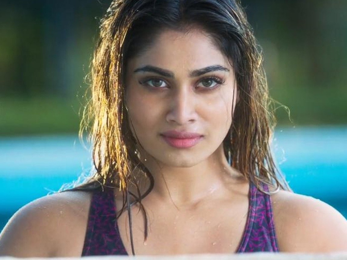 Naai Sekar Returns Picture