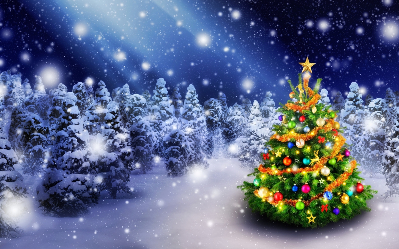 Christmas Tree in Snow 1280 x 800 widescreen Wallpaper