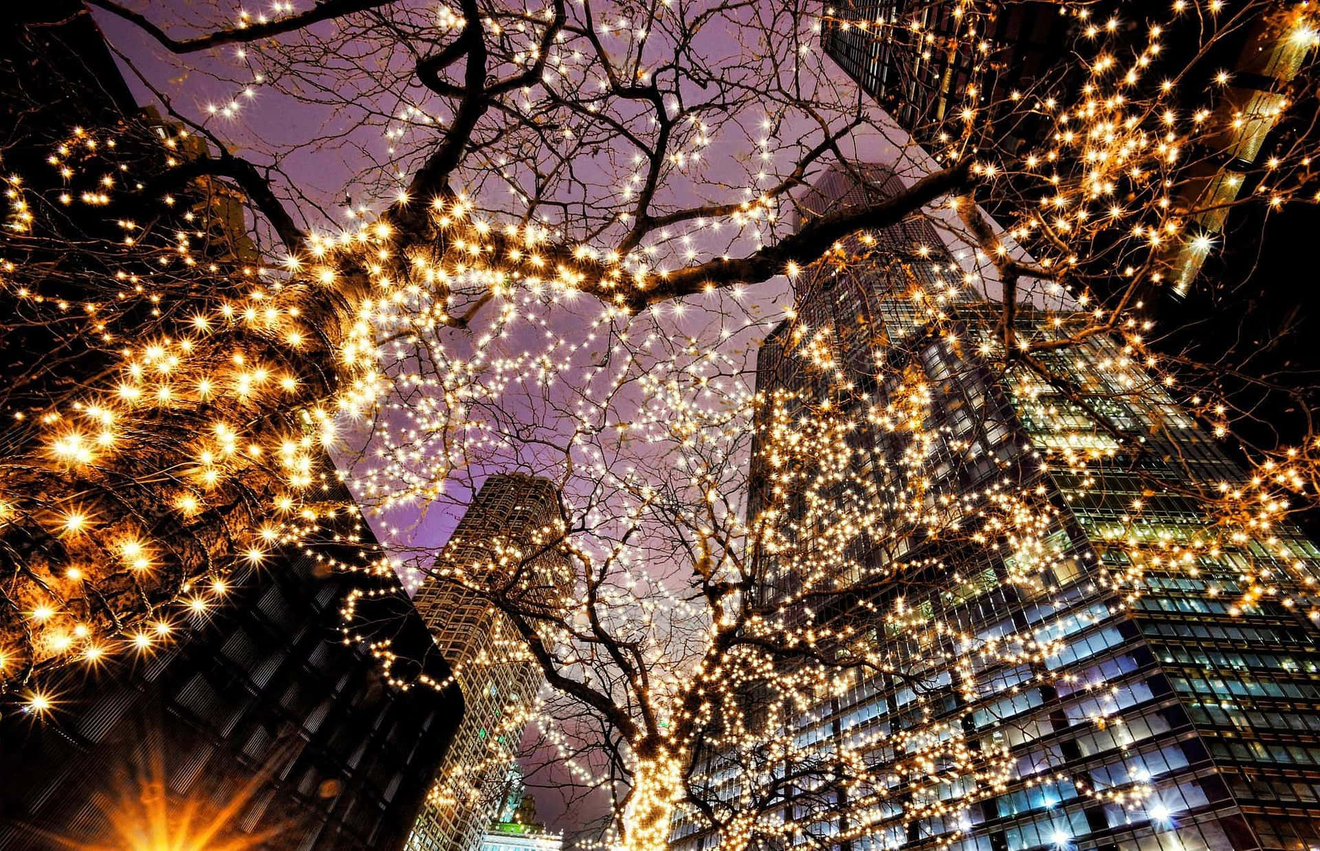 Christmas Lights Background