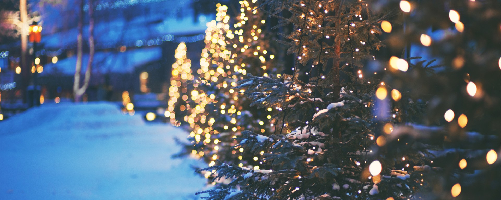 A Guide to Outdoor Christmas Lights