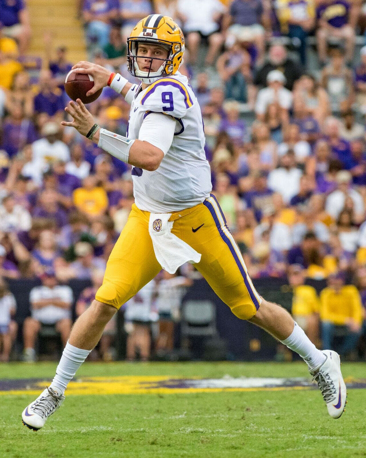 Joe Burrow Tigers, 8x10 Color Photo