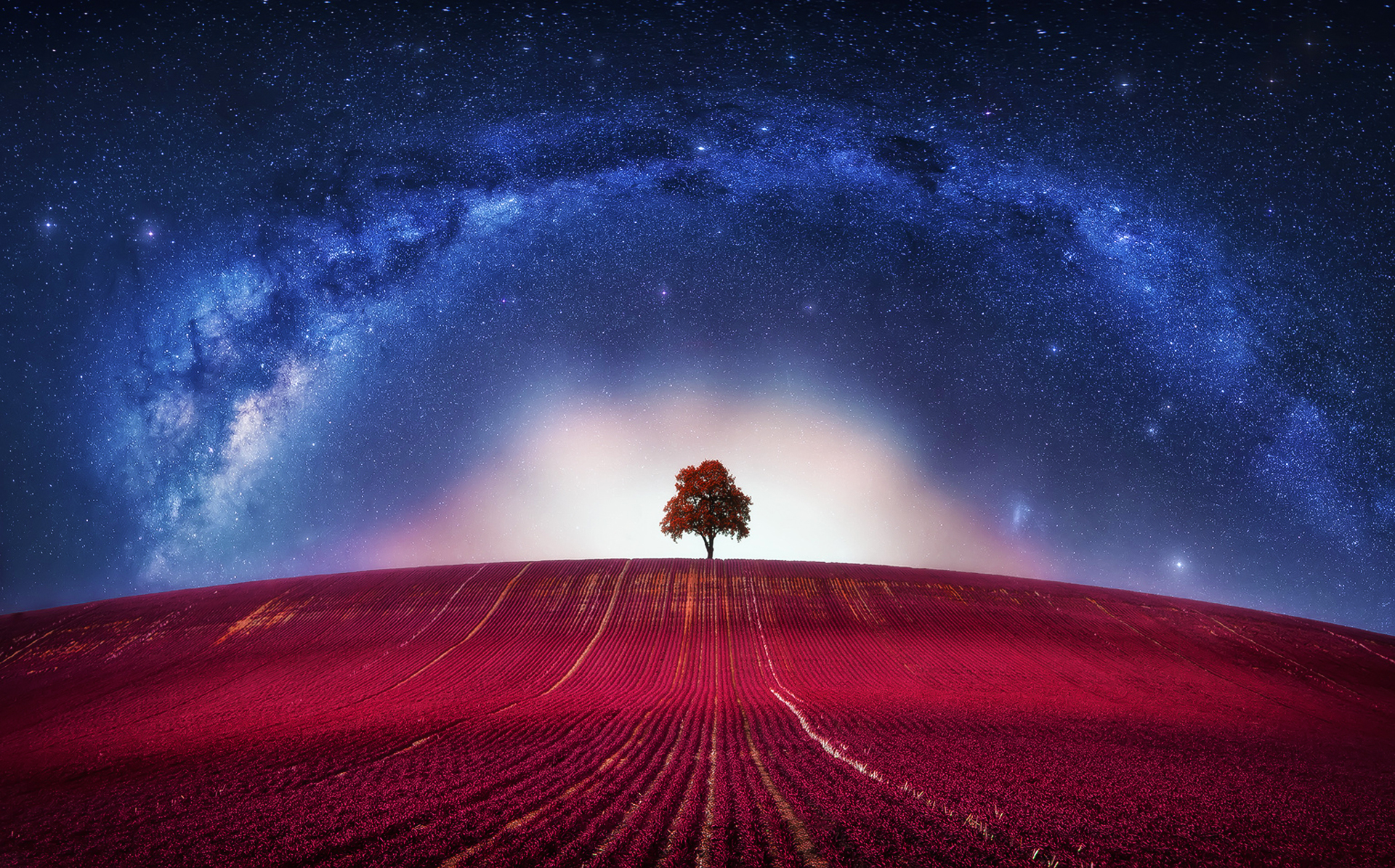 Download wallpaper Fantasy, Avatar, Clouds, Loneliness, Horizon, Tree, Galaxy, Lone, section landscapes in resolution 1920x1195