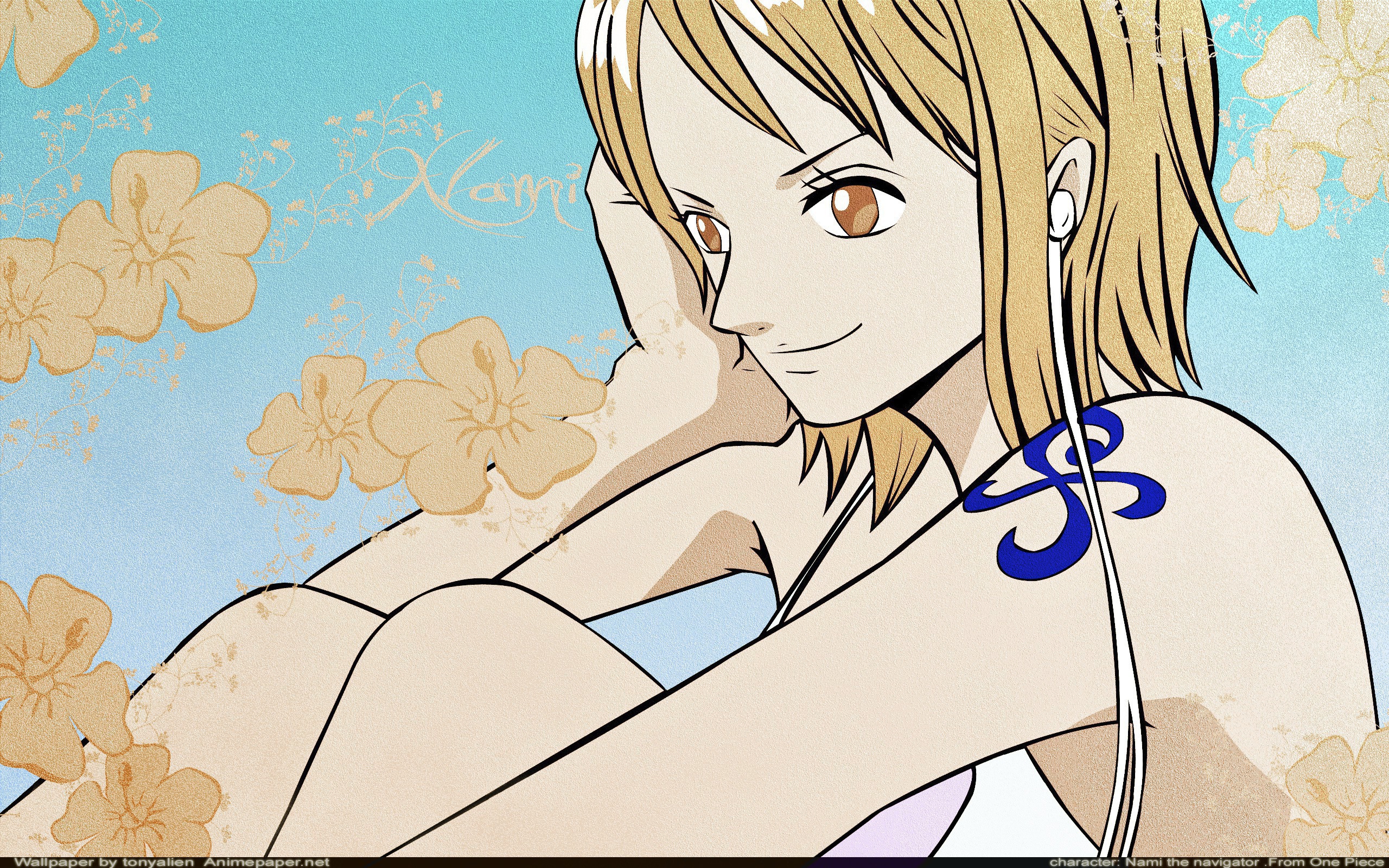Nami, HD Wallpaper Anime Image Board