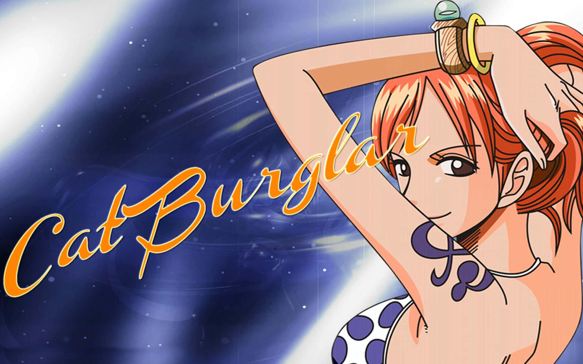 Download The Cat Burglar Nami One Piece
