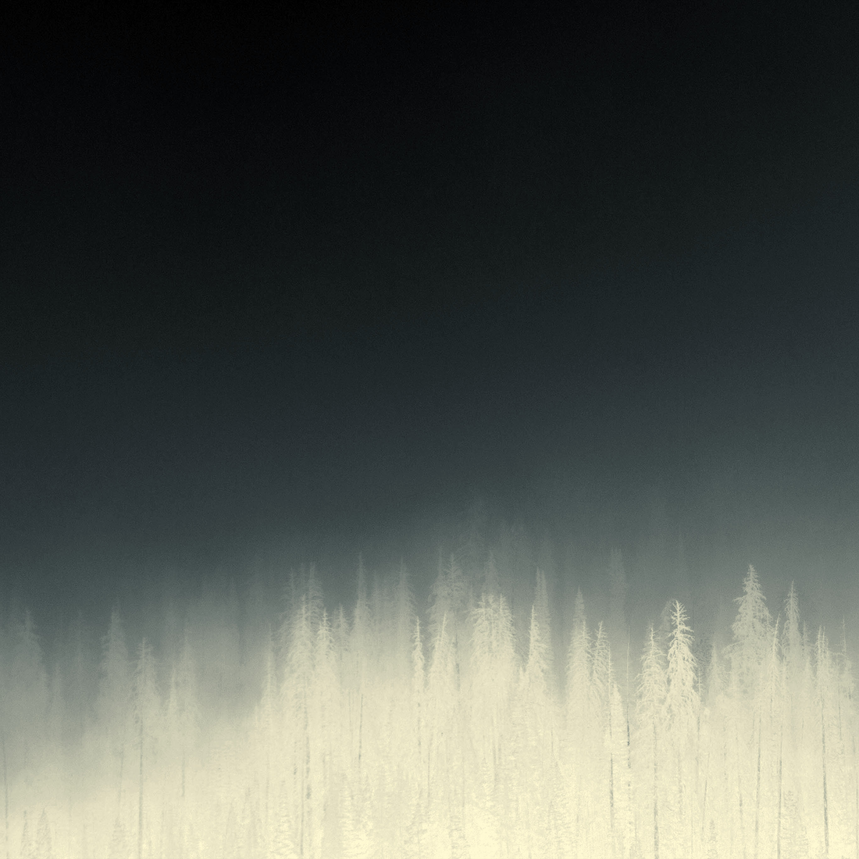 Android wallpaper. fog minimal mountain wood nature blue dark