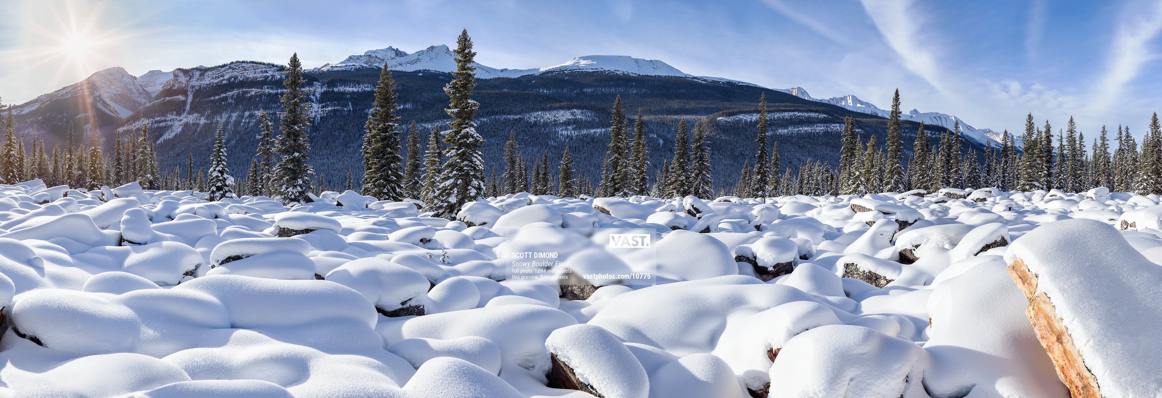 High resolution winter landscape photo