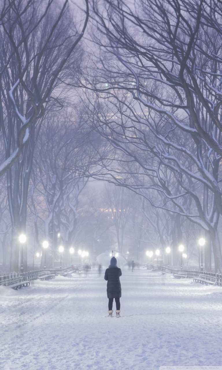 Central Park, New York City, Winter Background Ultra HD Desktop Background Wallpaper for 4K UHD TV, Widescreen & UltraWide Desktop & Laptop, Tablet