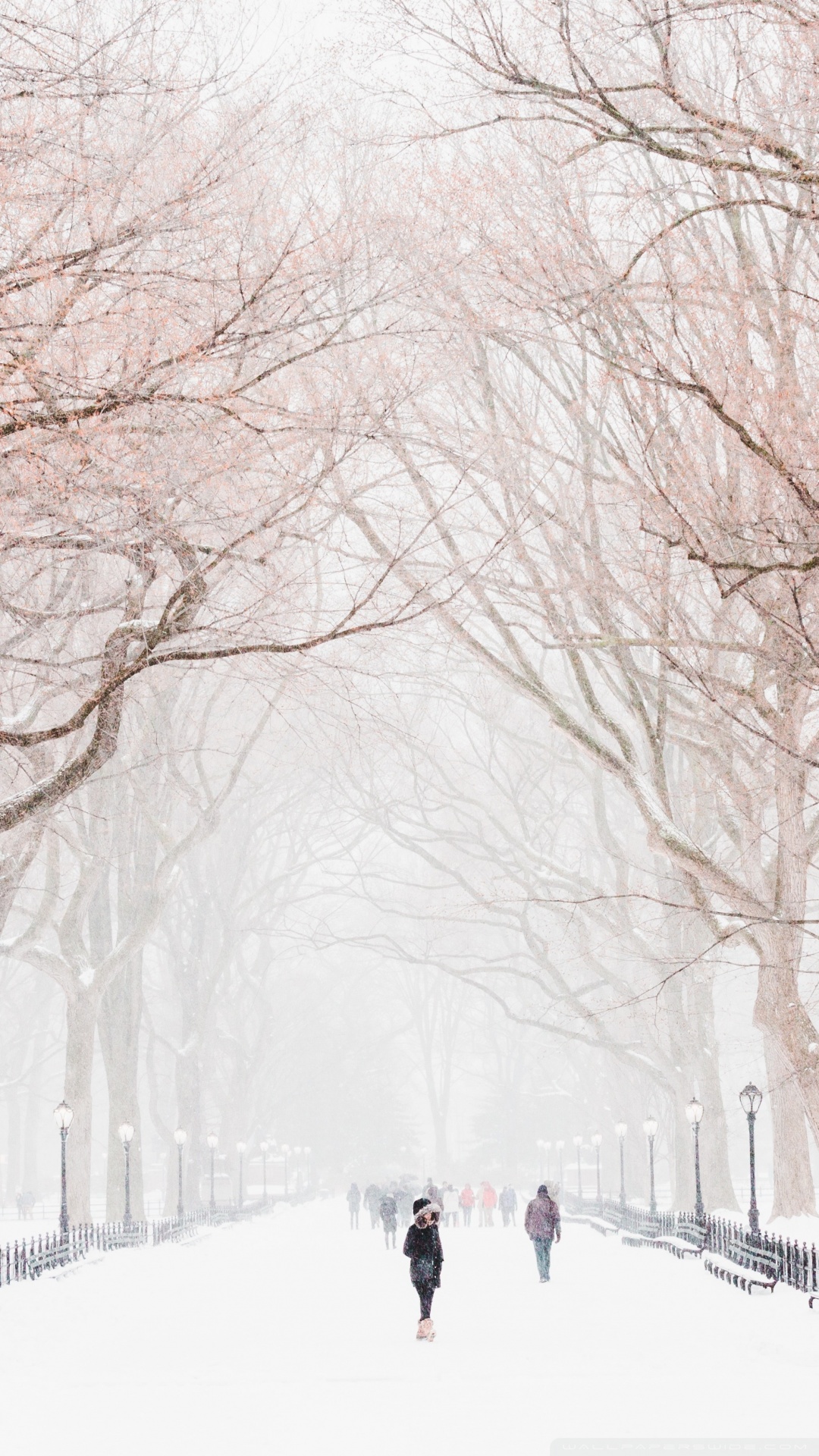 Winter, Central Park, New York City Ultra HD Desktop Background Wallpaper for 4K UHD TV, Widescreen & UltraWide Desktop & Laptop, Tablet