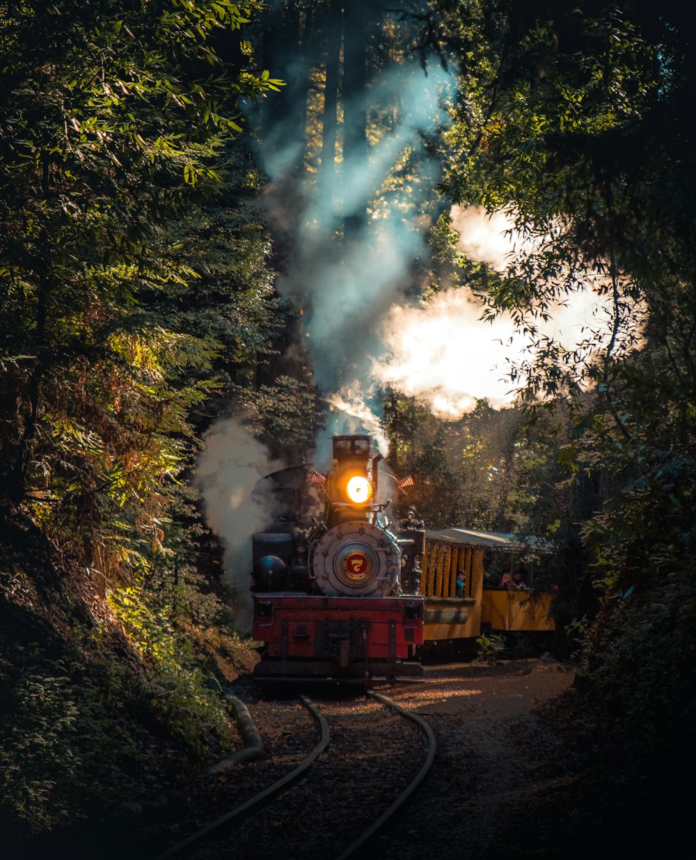 Christmas Train Picture. Download Free Image