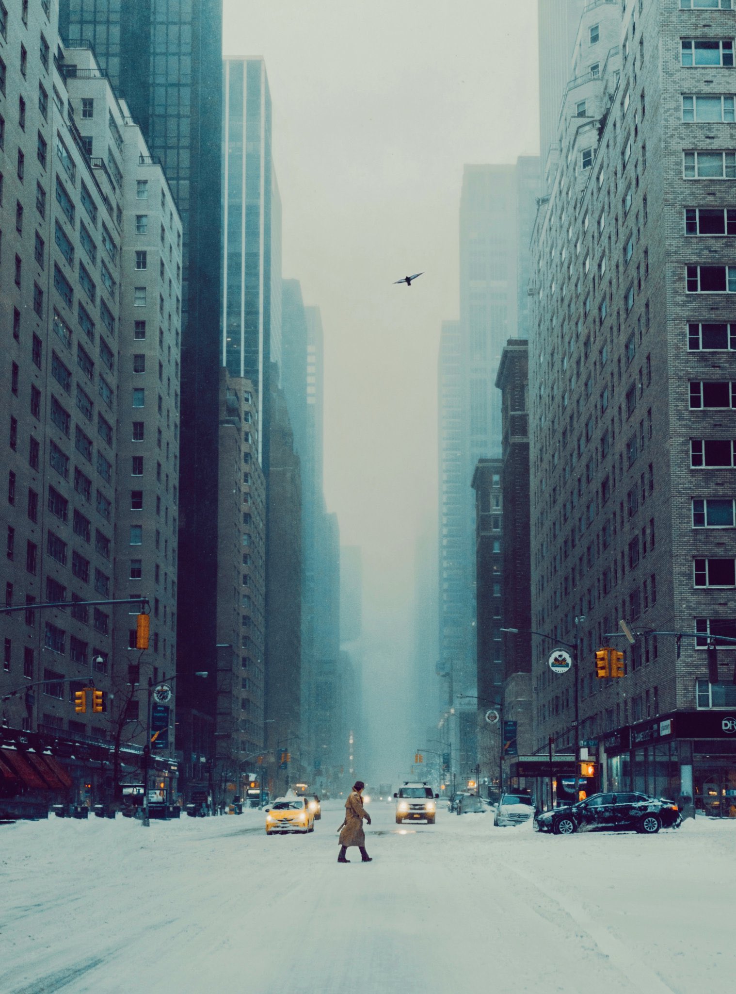 monaris in the winter is