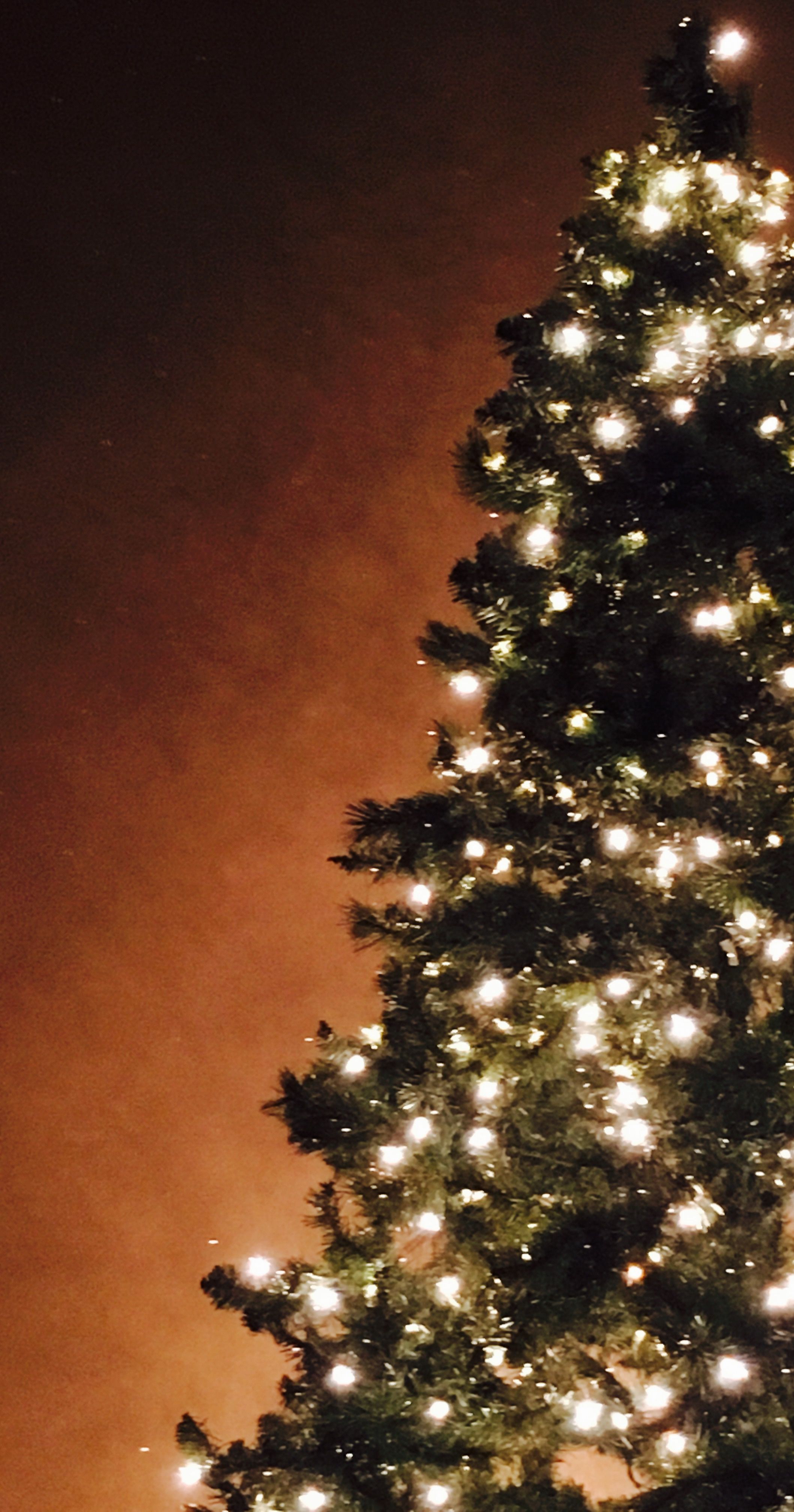 Christmas Tree iPhone background. Christmas phone wallpaper, Christmas wallpaper background, Christmas tree wallpaper iphone