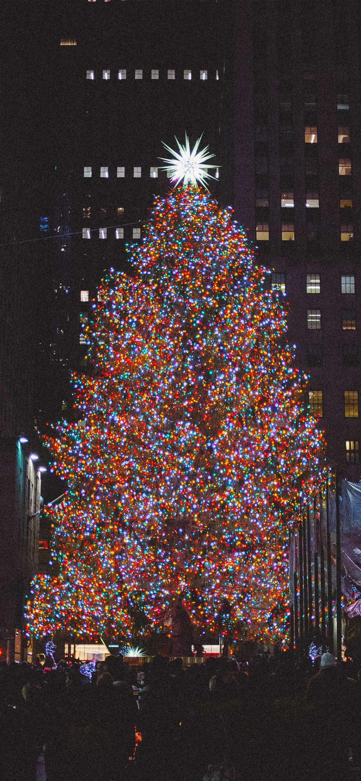 Christmas tree Wallpaper for iPhone 11, Pro Max, X, 8, 7, 6