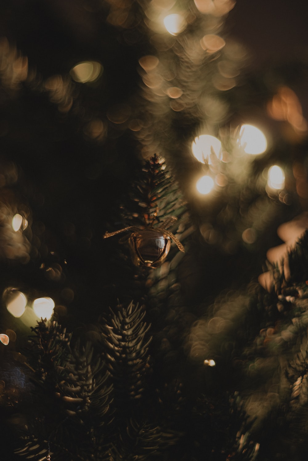 A close up of a christmas tree with lights in the background photo