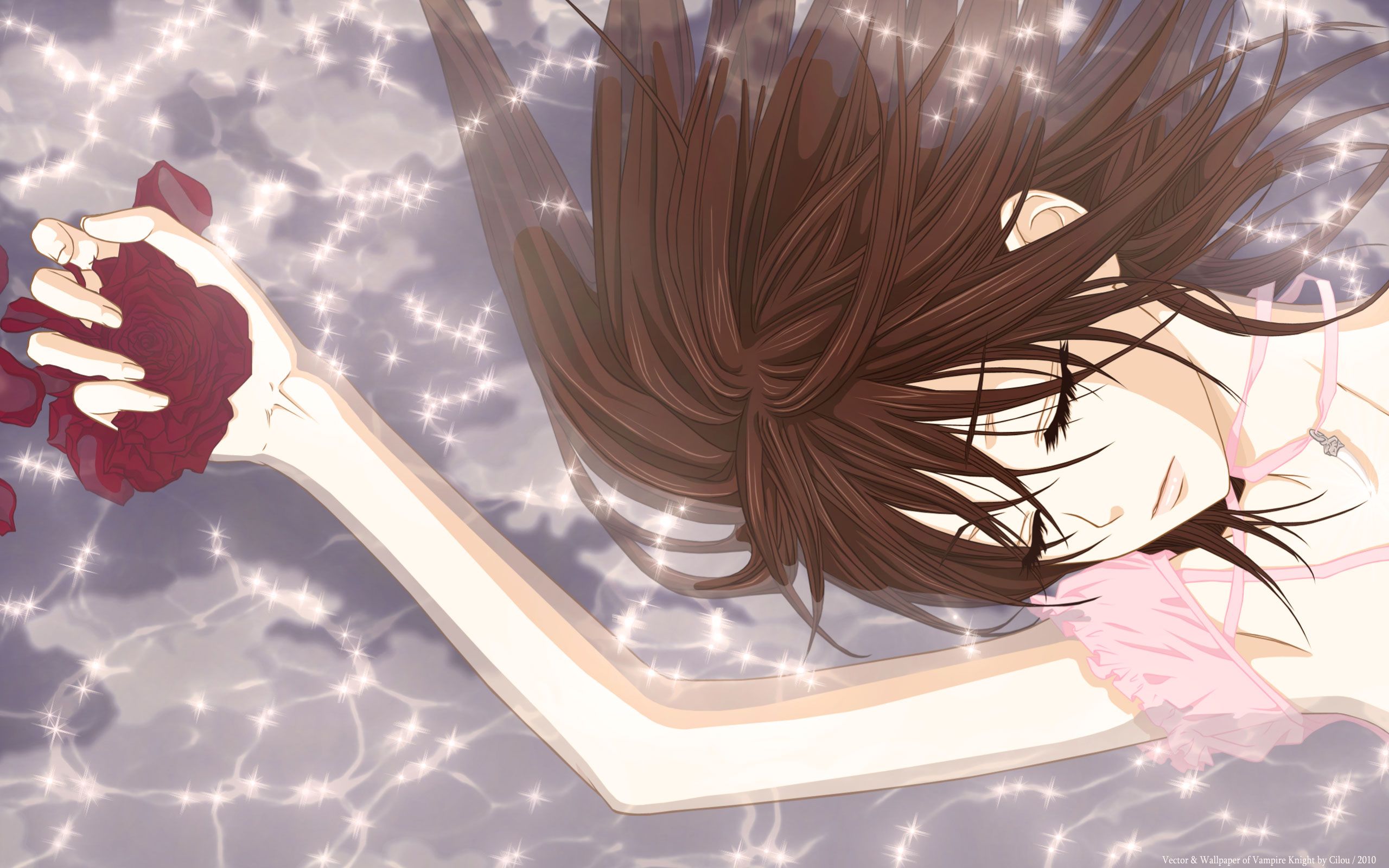 HD desktop wallpaper: Anime, Bright, Rose, Sleeping, Yuki Cross, Vampire Knight, Yuki Kuran download free picture