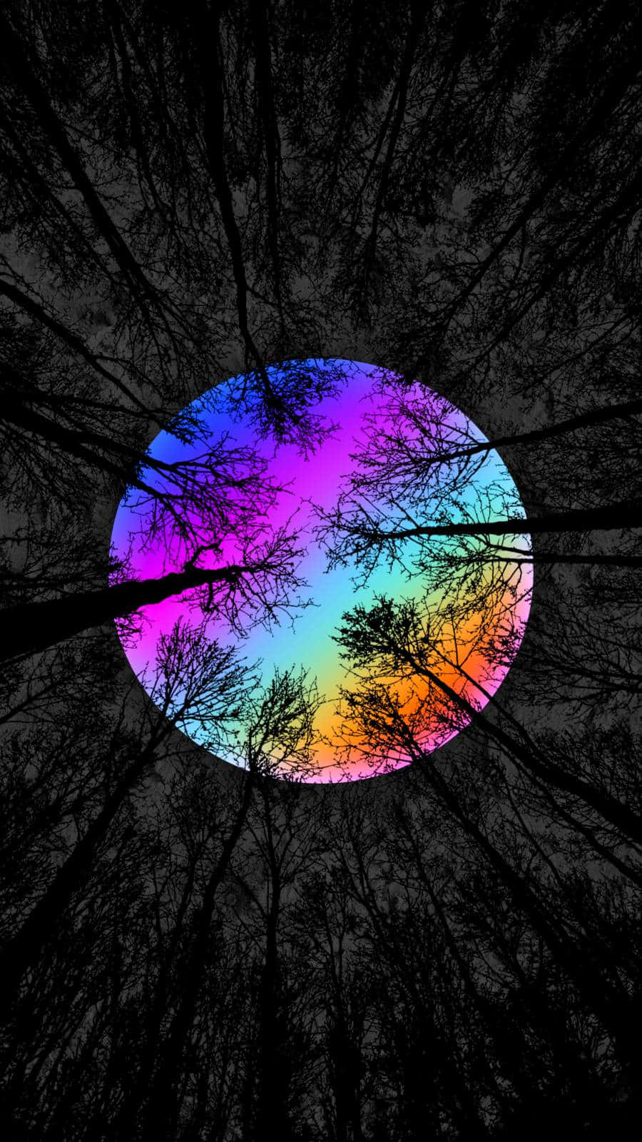 Download A Rainbow Colored Circle In The Middle Of A Forest Wallpaper