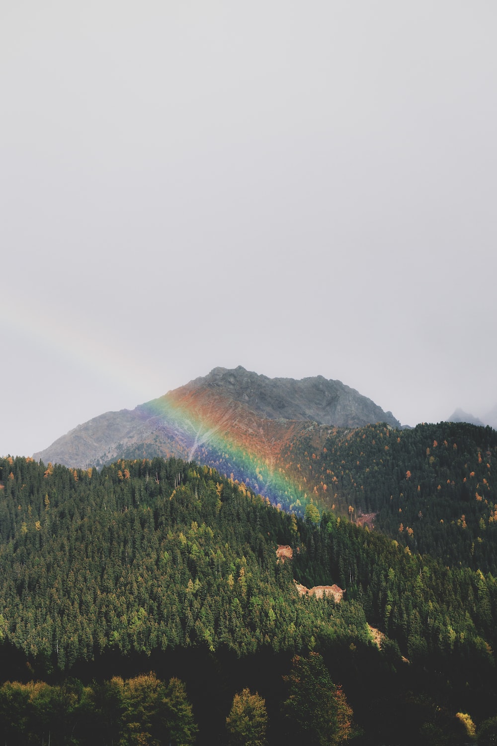 Rainbow Picture [HD]. Download Free Image