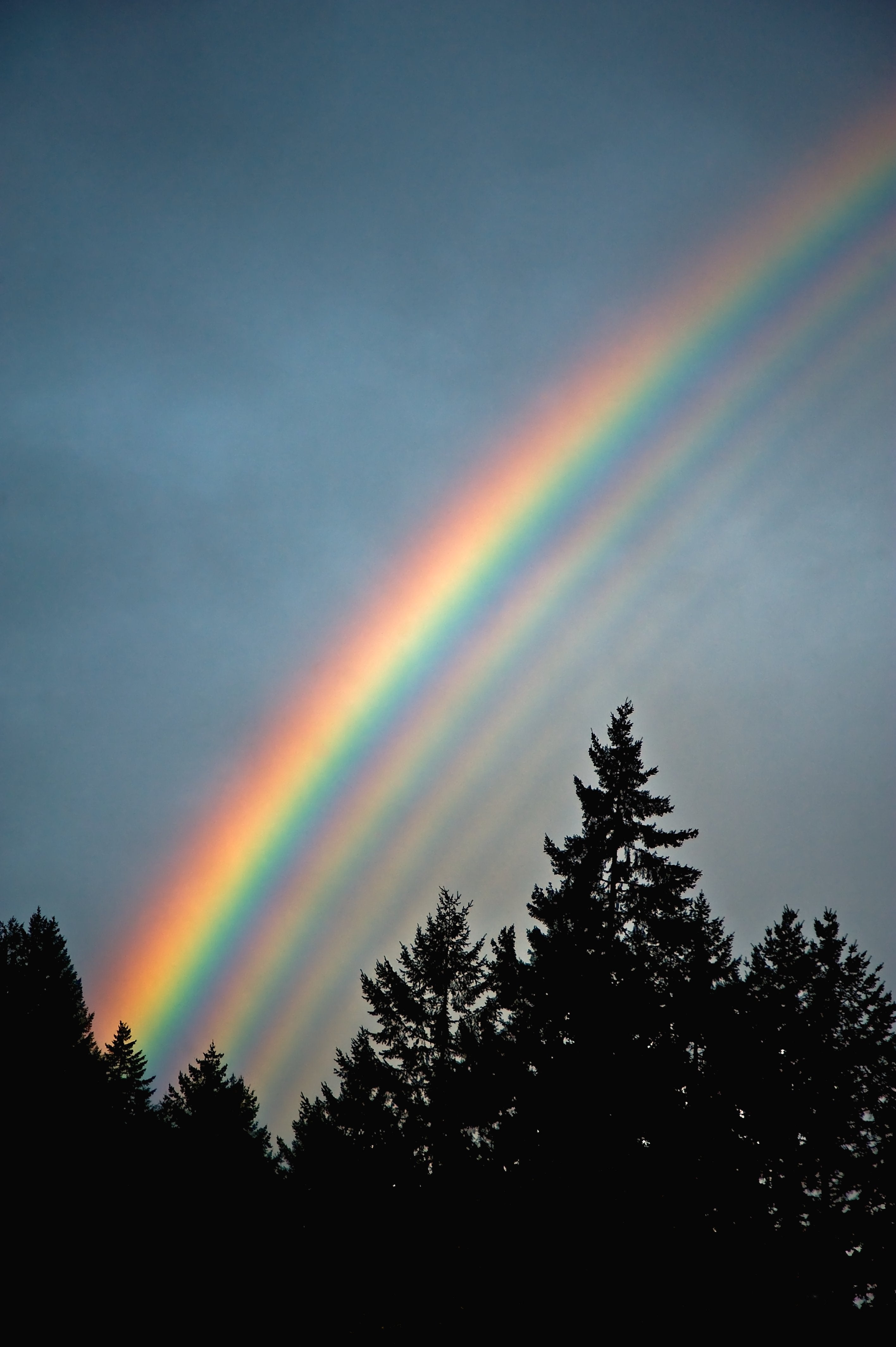 Rainbow. Natural Wallpaper Download