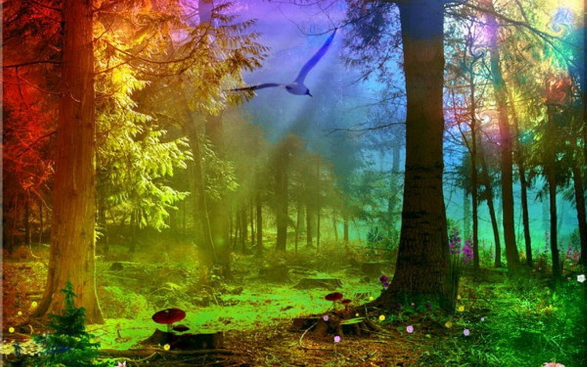 Wallpaper. Beautiful picture. photo. picture. forest, light, magic
