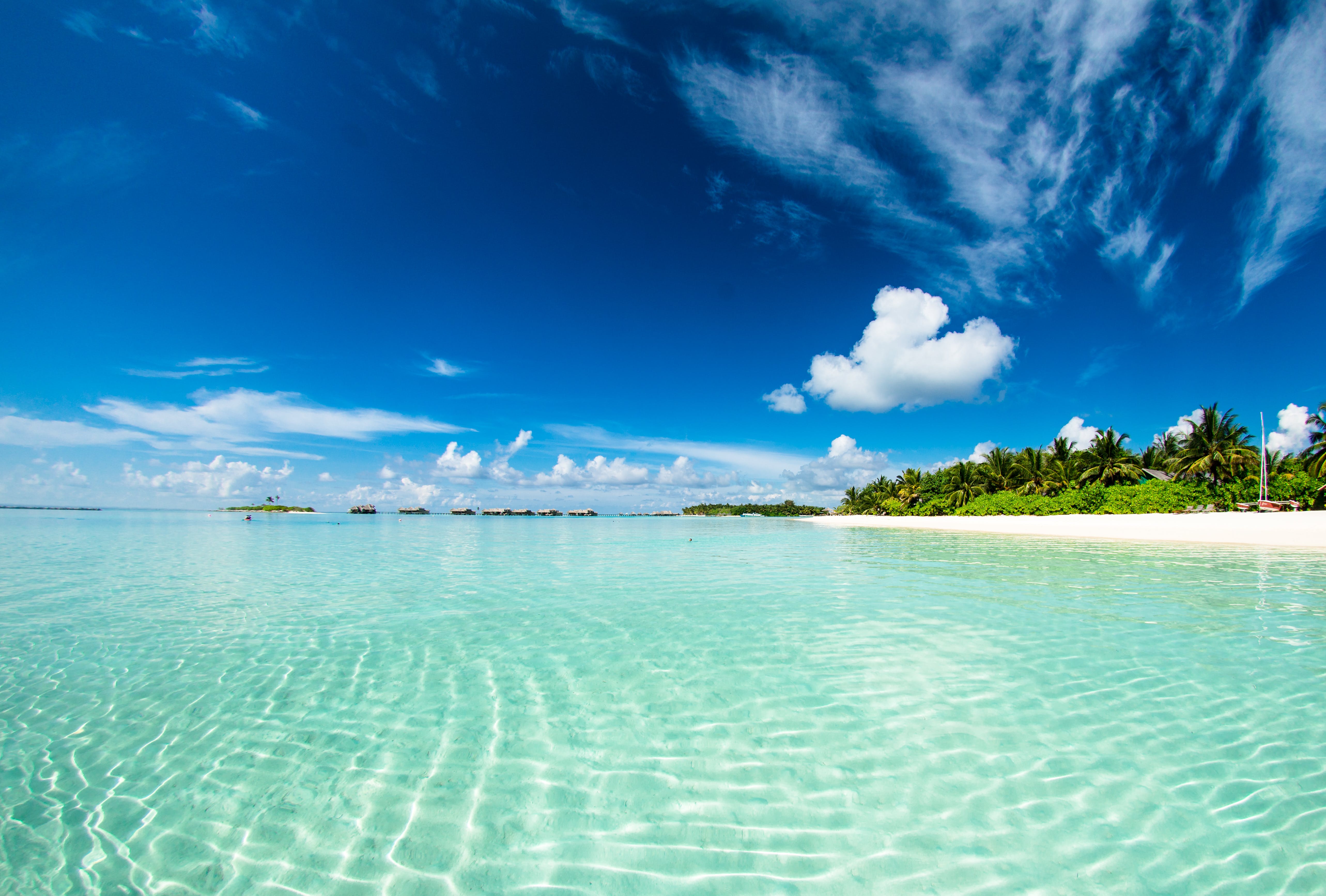 Tropical Beach Photo, Download The BEST Free Tropical Beach & HD Image