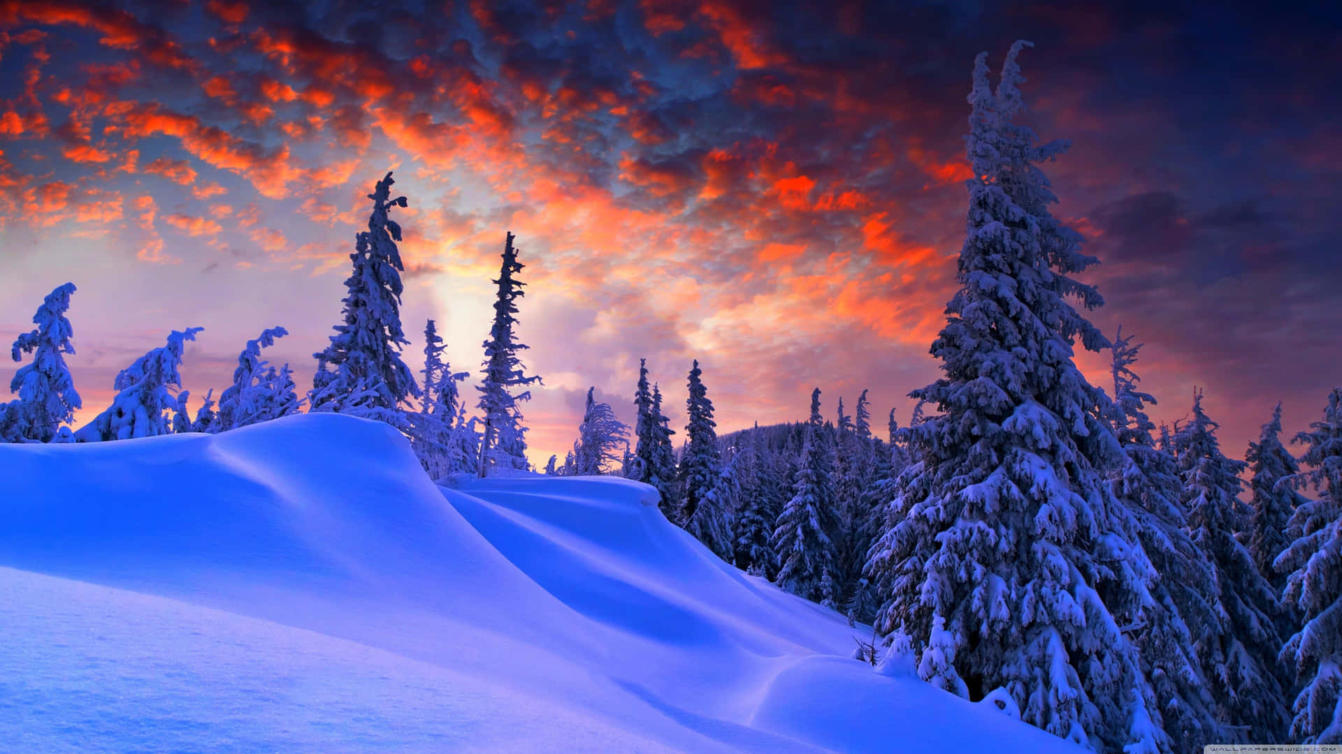 Winter Laptop Wallpaper