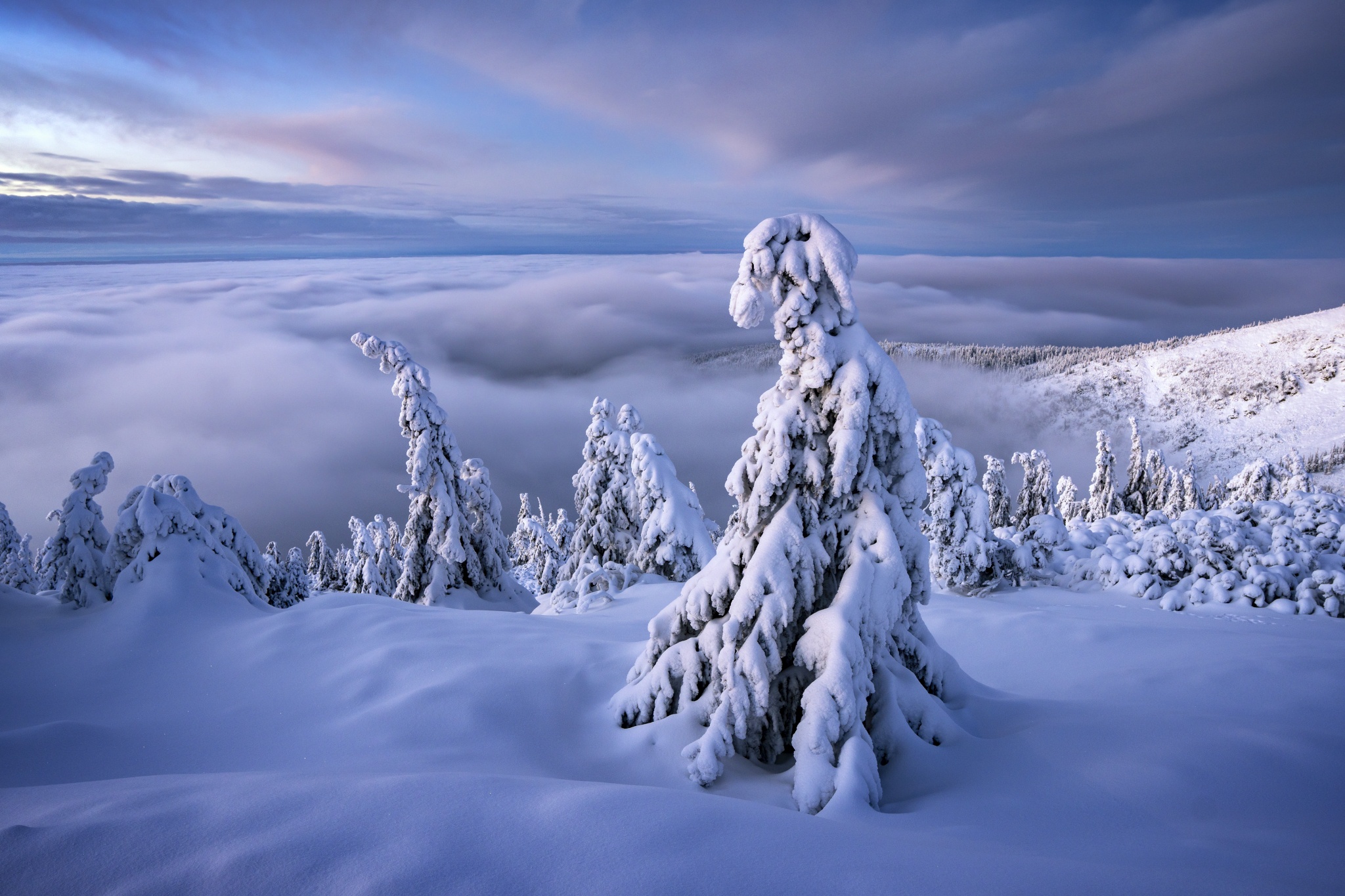 Nature Winter HD Wallpaper