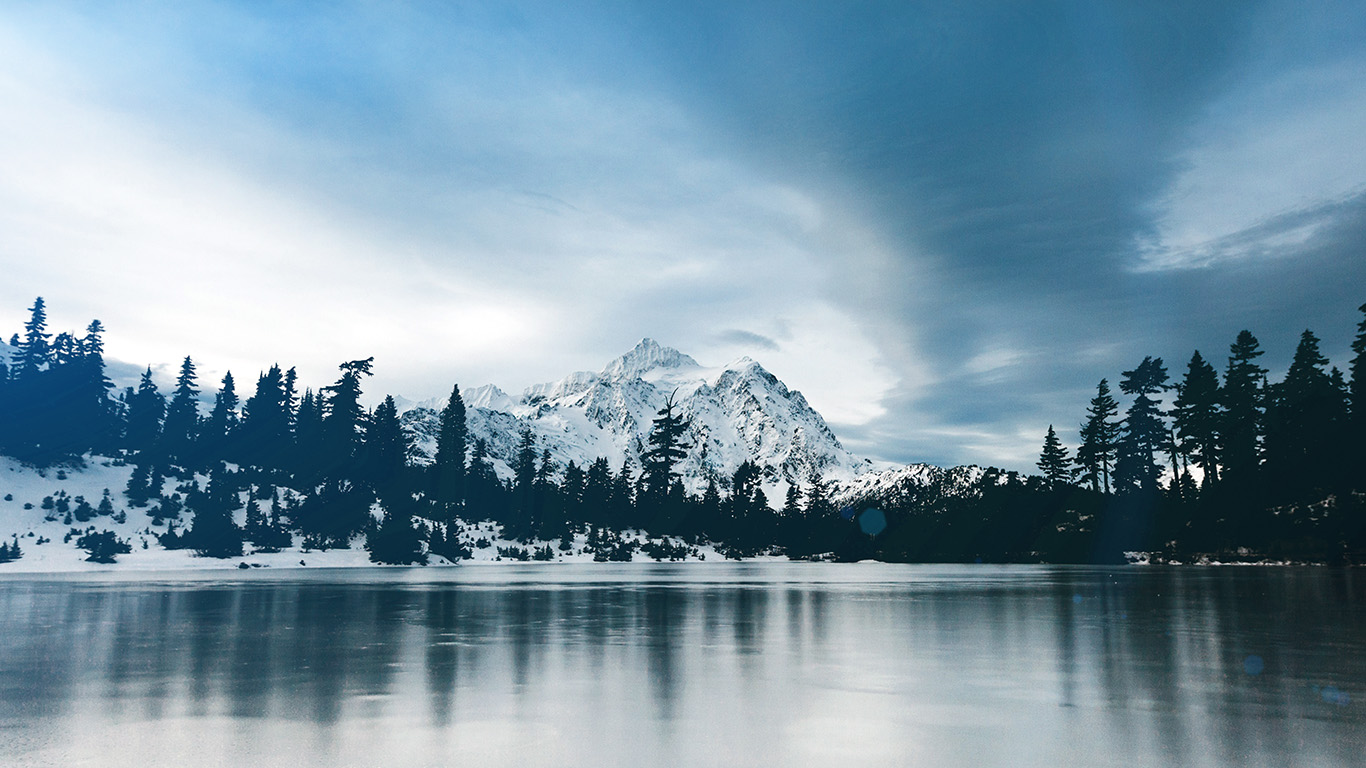 Frozen Lake Winter Snow Wood Forest Cold Wallpaper