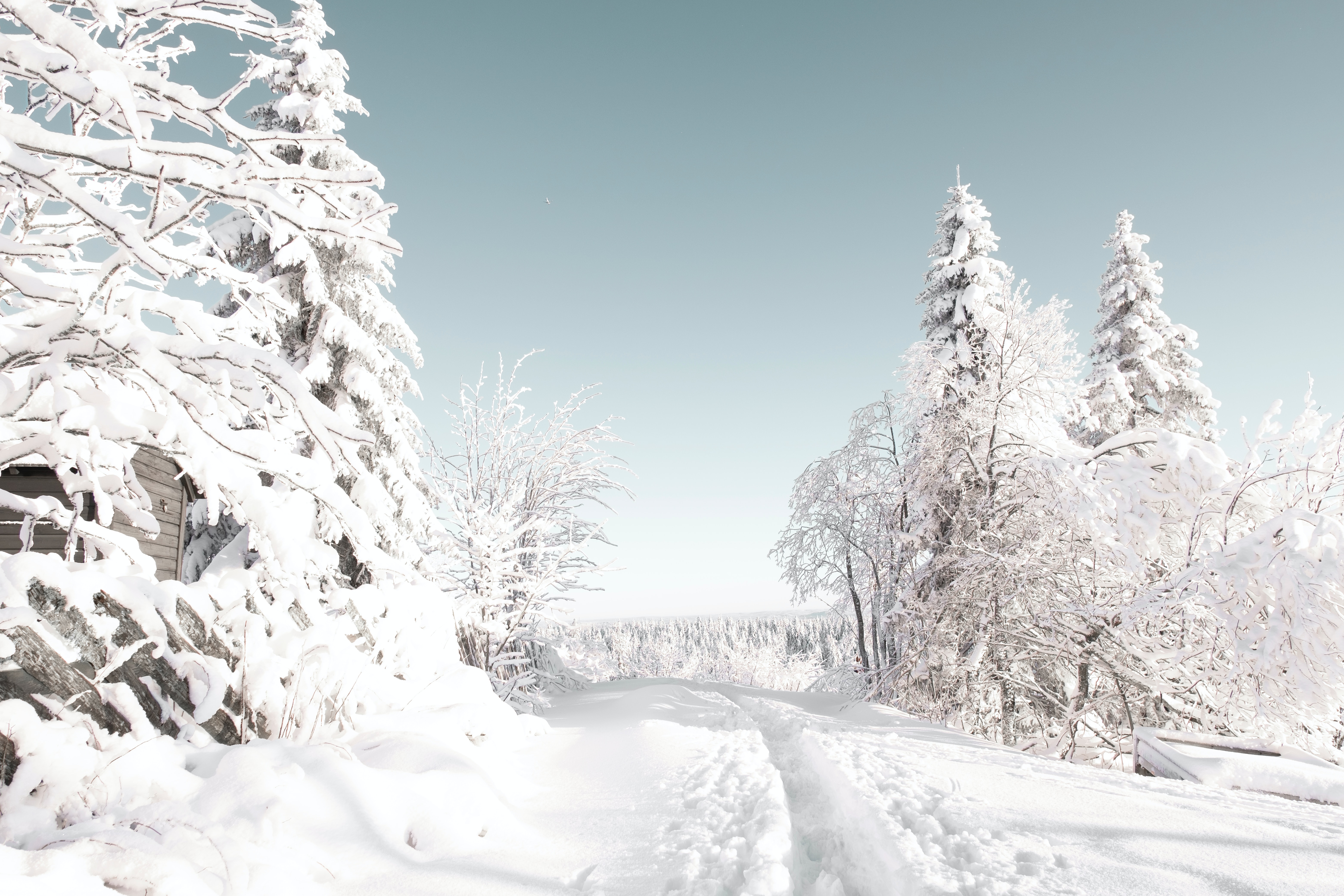 Winterscapes. best free winter, outdoor, snow and background photo