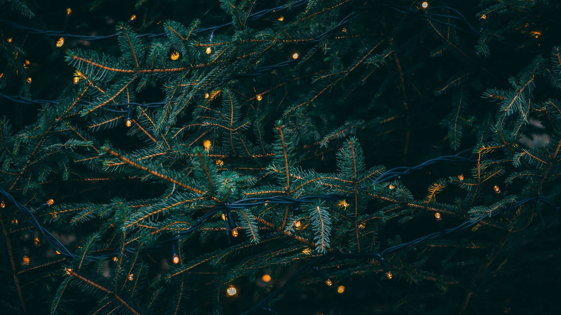 Download Dark Green Christmas Aesthetic Desktop Wallpaper