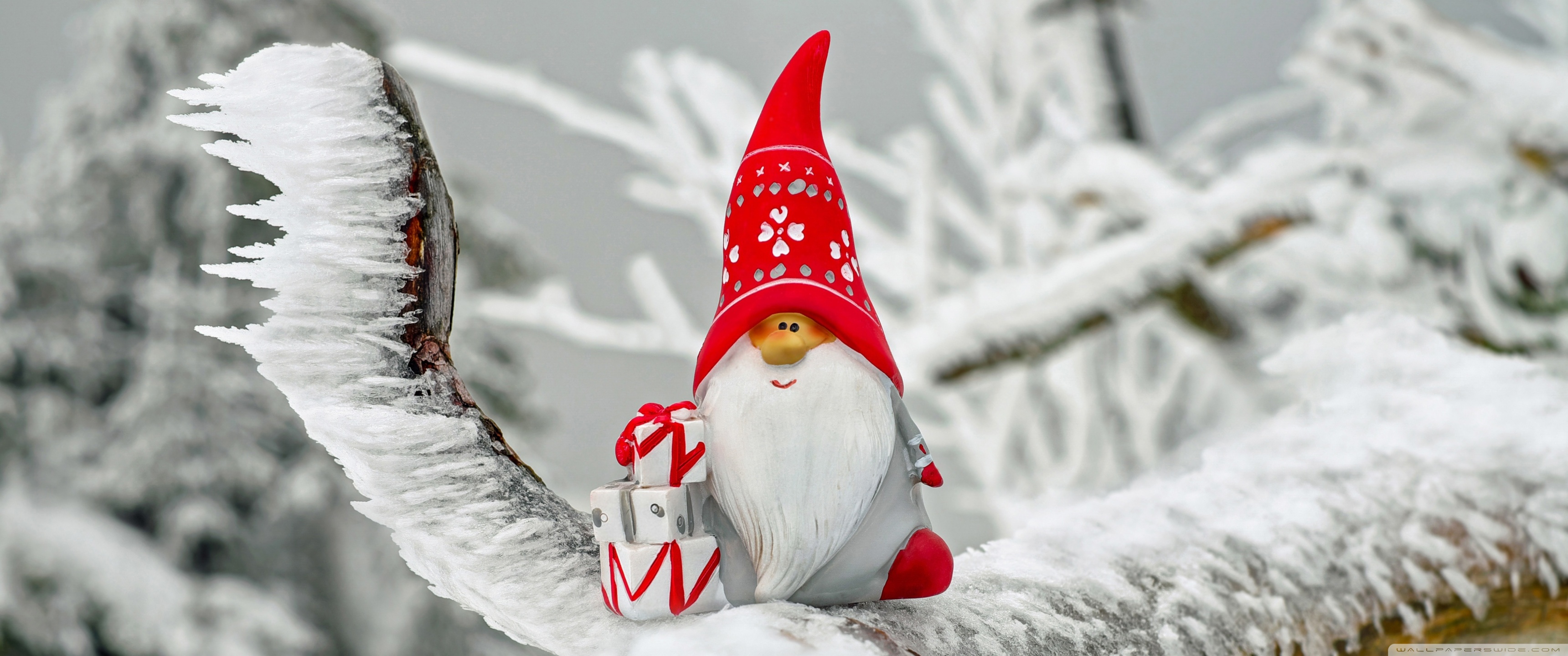 Christmas Gnome Ultra HD Desktop Background Wallpaper for 4K UHD TV, Widescreen & UltraWide Desktop & Laptop, Tablet