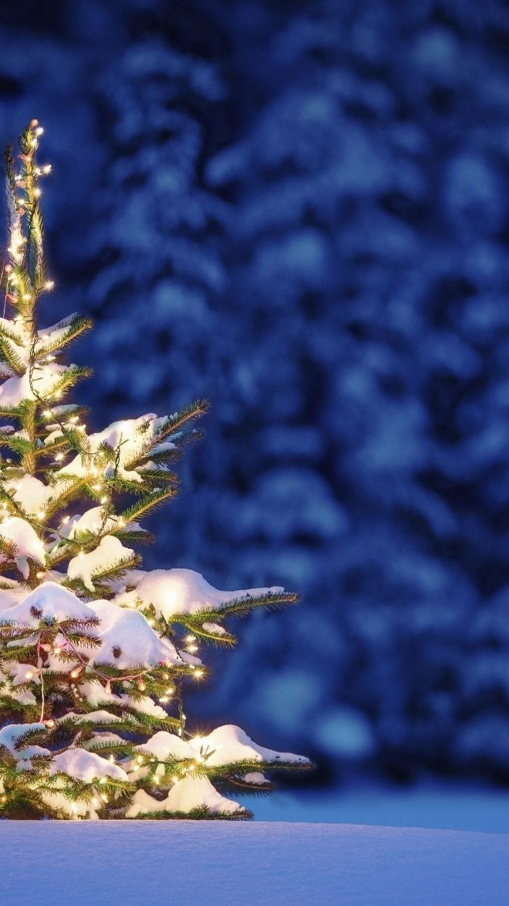 Beautiful Christmas iPhone Wallpaper Free To Download. Christmas tree wallpaper iphone, Wallpaper iphone christmas, Christmas wallpaper background