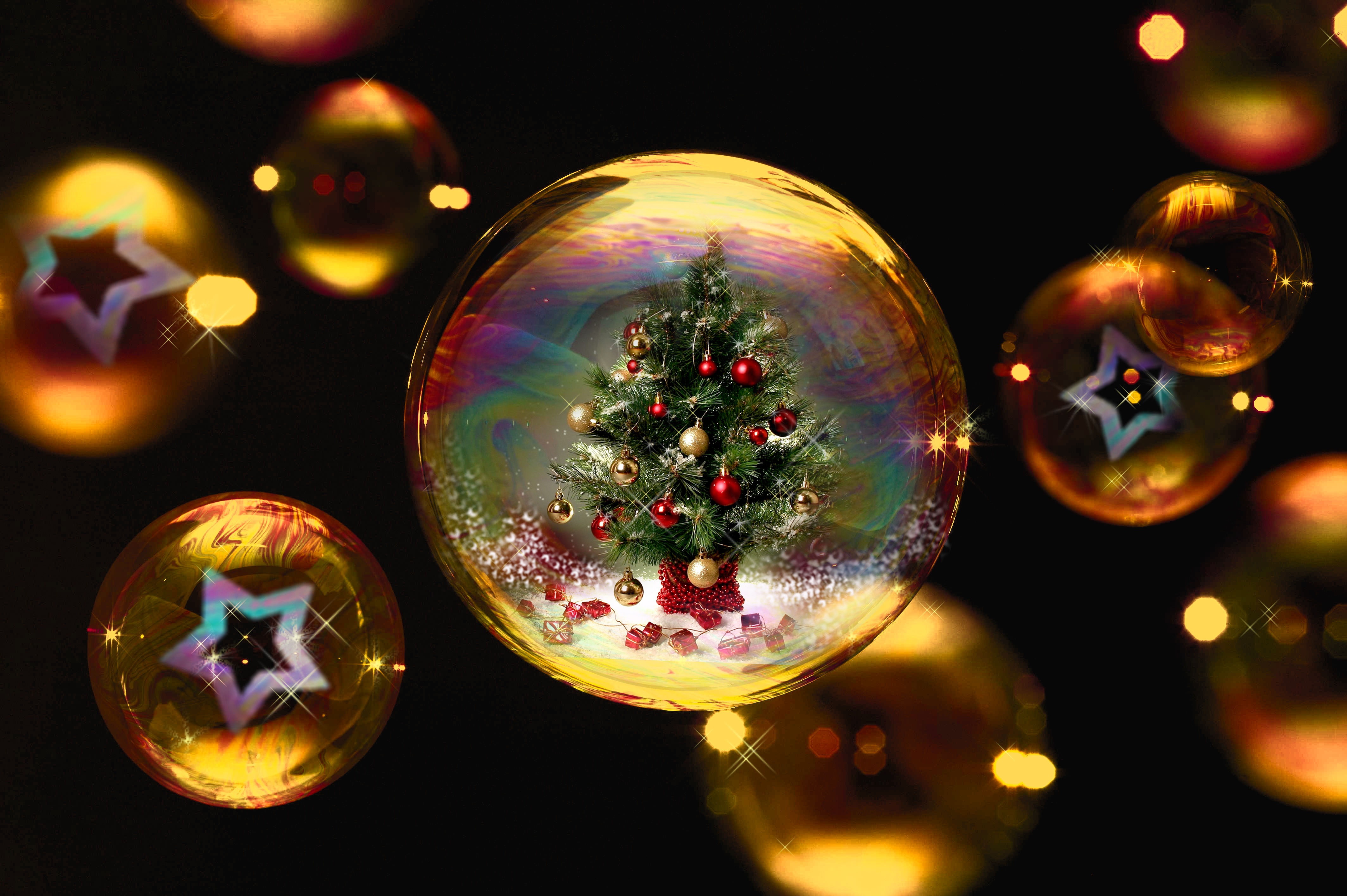 Free Image, winter, light, star, color, christmas tree, circle, christmas ornament, advent, christmas decoration, gifts, christmas time, festival, lights, gold, contemplative, sphere, mood, made, macro photography, desire, christmas tree ball, computer
