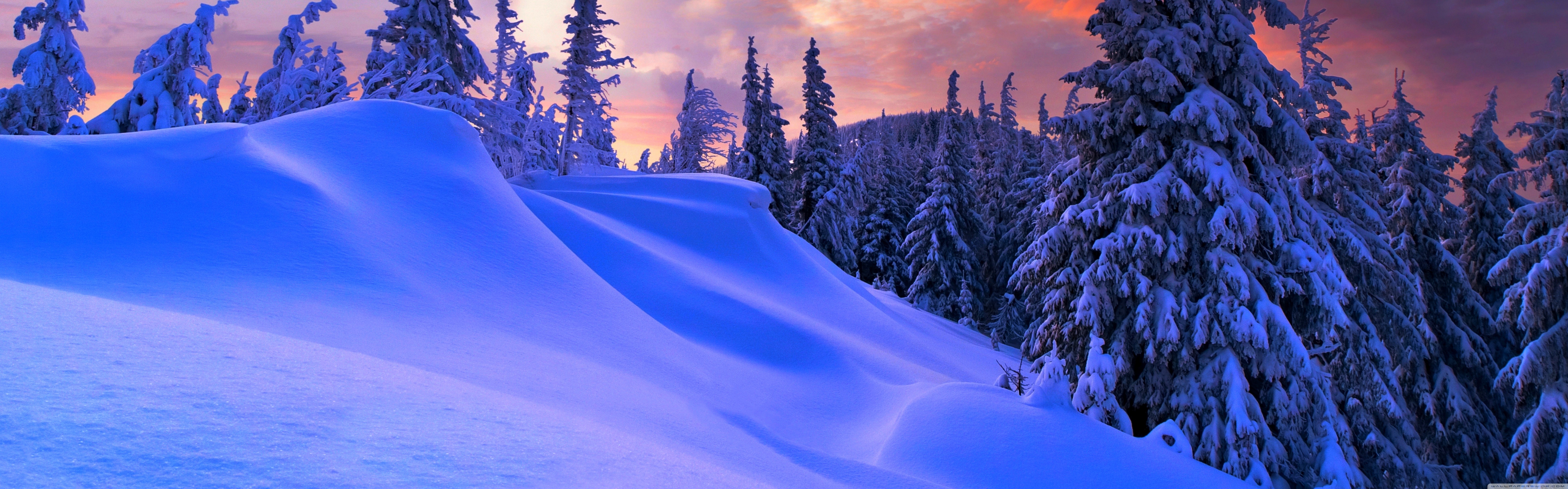 Winter Christmas Ultra HD Wallpaper
