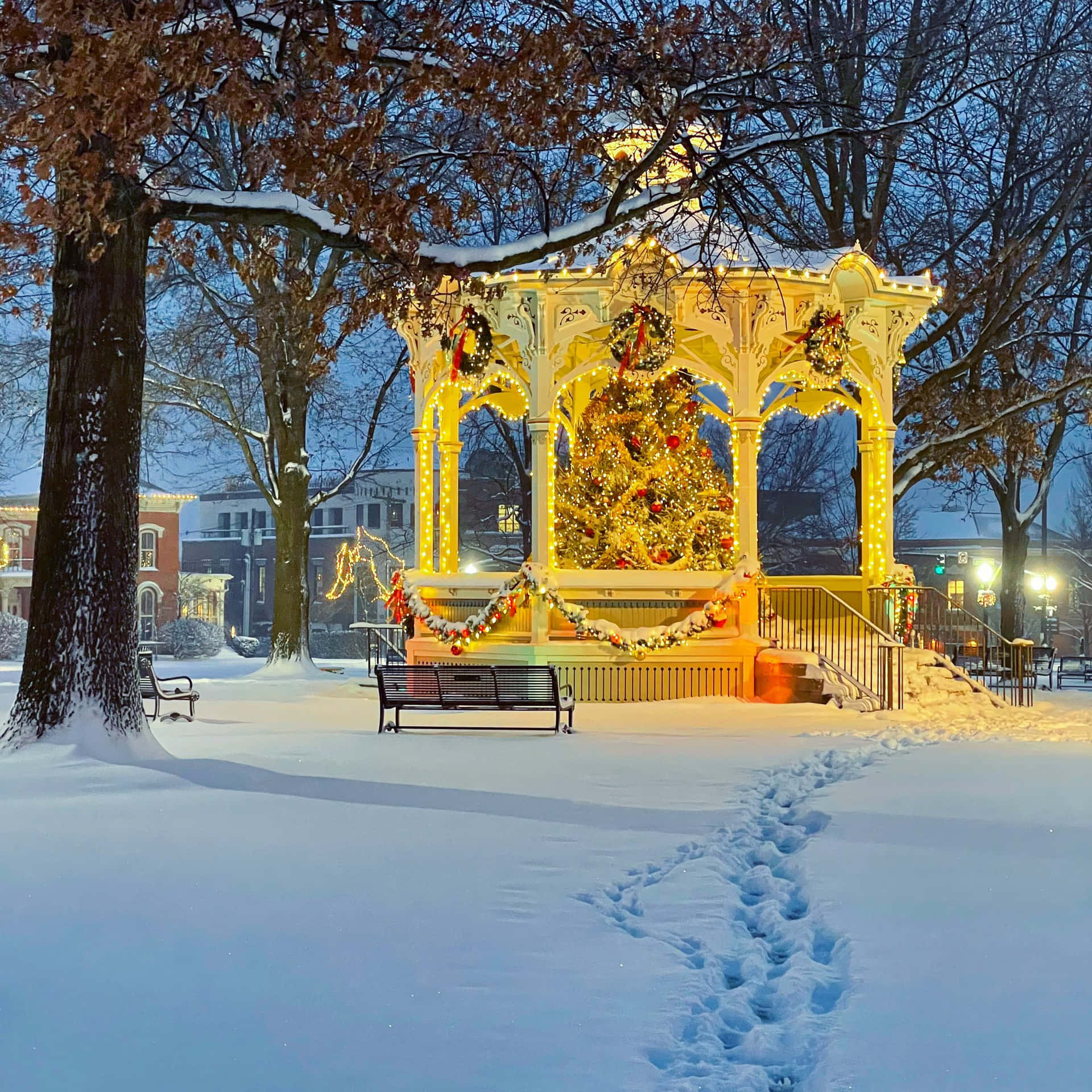 Download Christmas Carousel Snow Picture