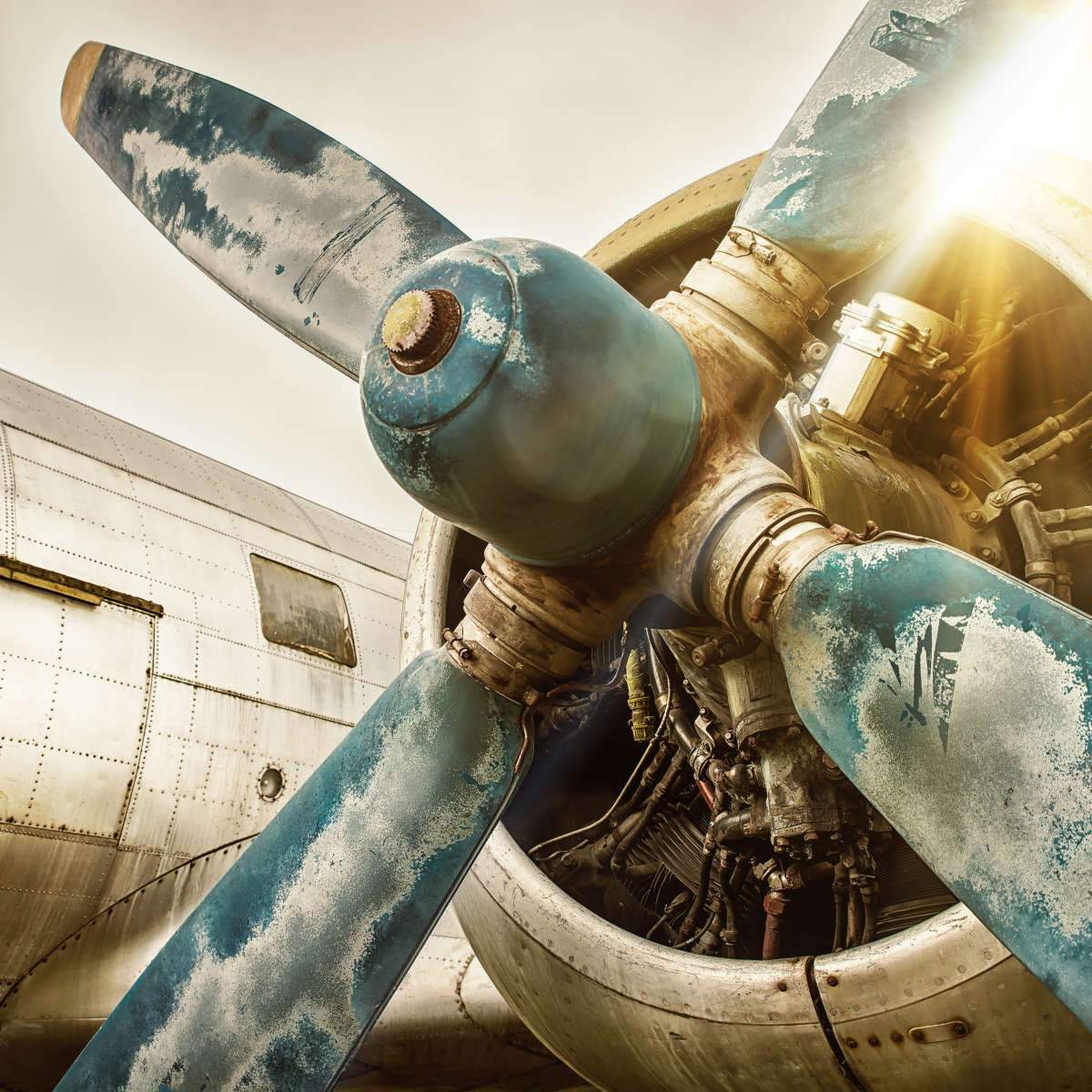 Airplane Wall Art. Paintings, Drawings