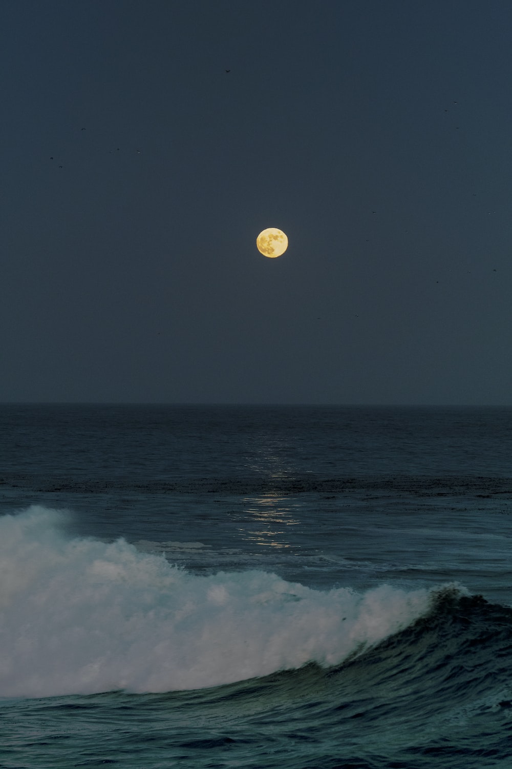 Moon And Sea Picture. Download Free Image