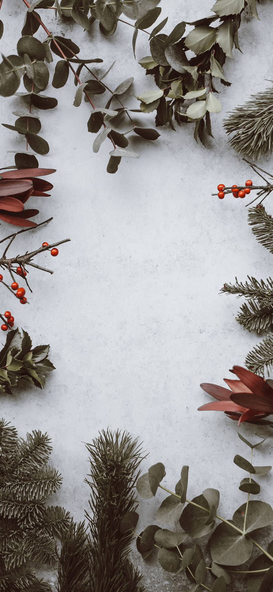 Download Let the winter come! Get the cutest wallpaper on your iPhone. Wallpaper