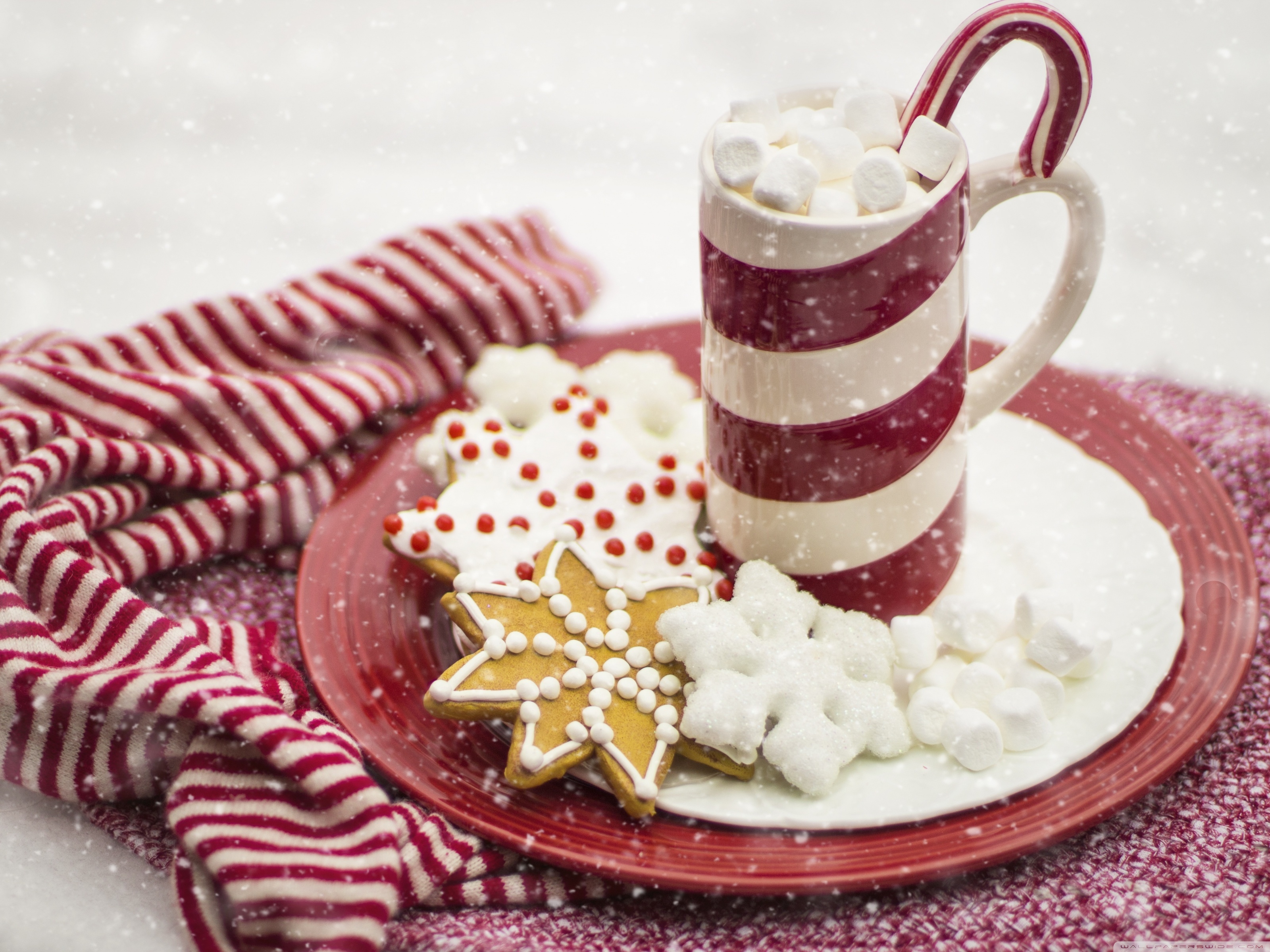 Hot Chocolate, Marshmallows, Candy Cane, Christmas Ultra HD Desktop Background Wallpaper for 4K UHD TV, Widescreen & UltraWide Desktop & Laptop, Tablet