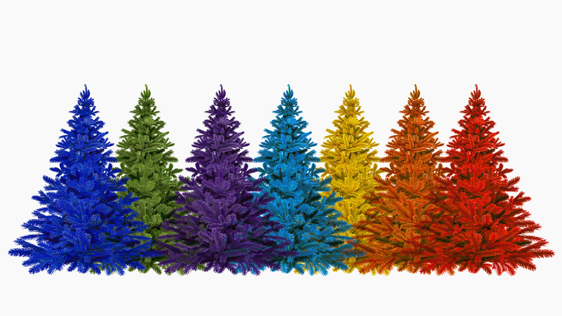 Colorful Trees Wallpaper For Chromebook