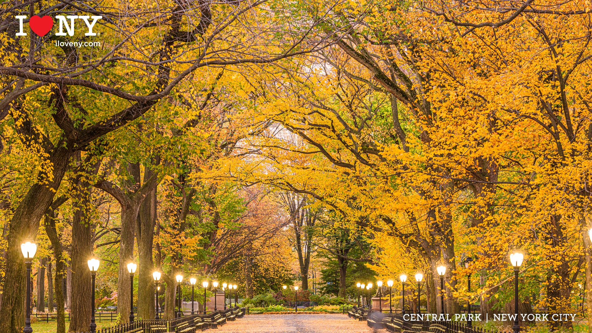 Autumn In New York Wallpapers - Wallpaper Cave, image size:1920x1080