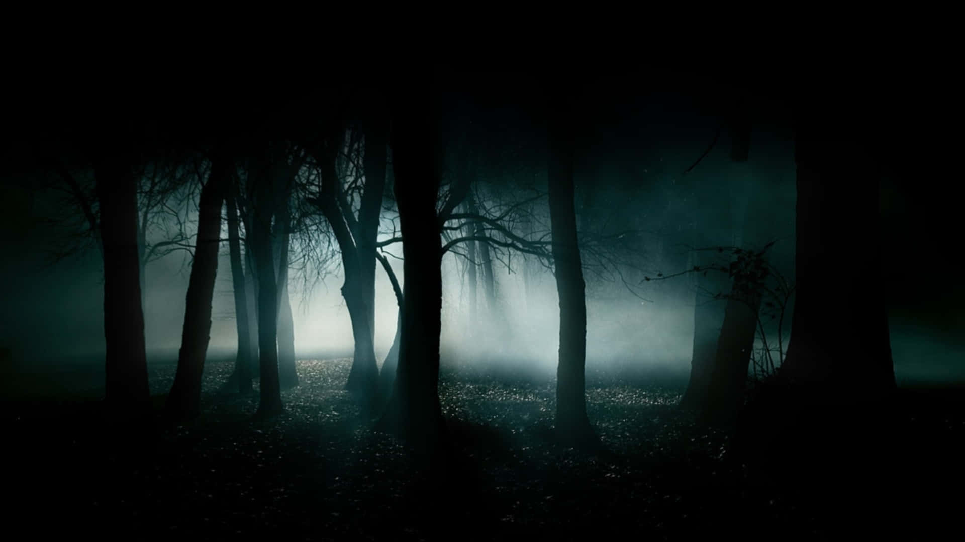 Haunted Forests Wallpaper