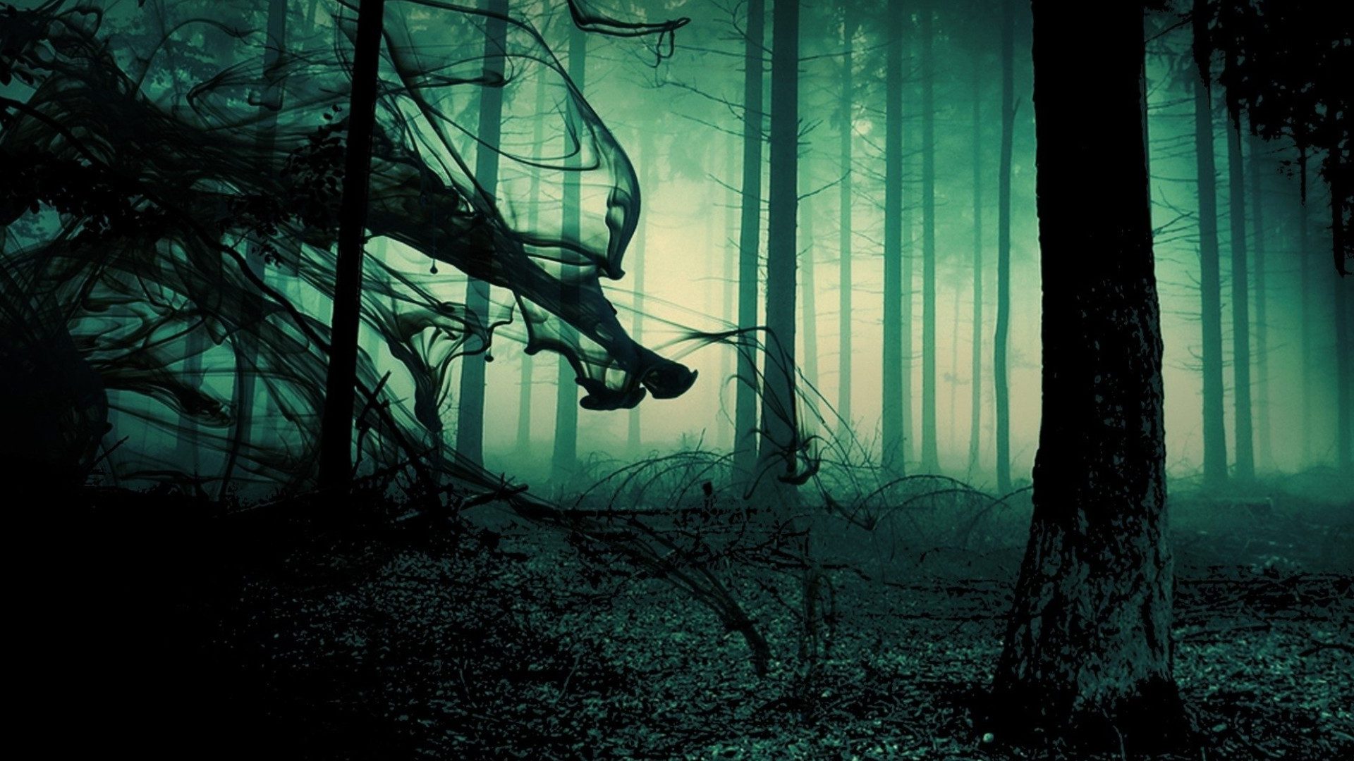 Creepy Forest Virtual Background