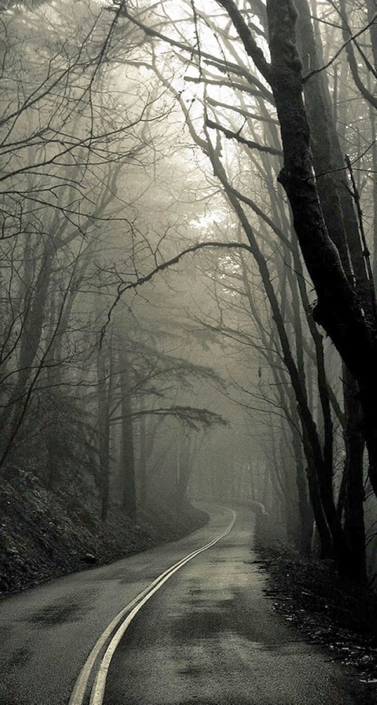 Creepy Forest Road Wallpaper /creepy Forest Road Wallpaper/. Creepy Woods, Dark Wallpaper, Nature Iphone Wallpaper