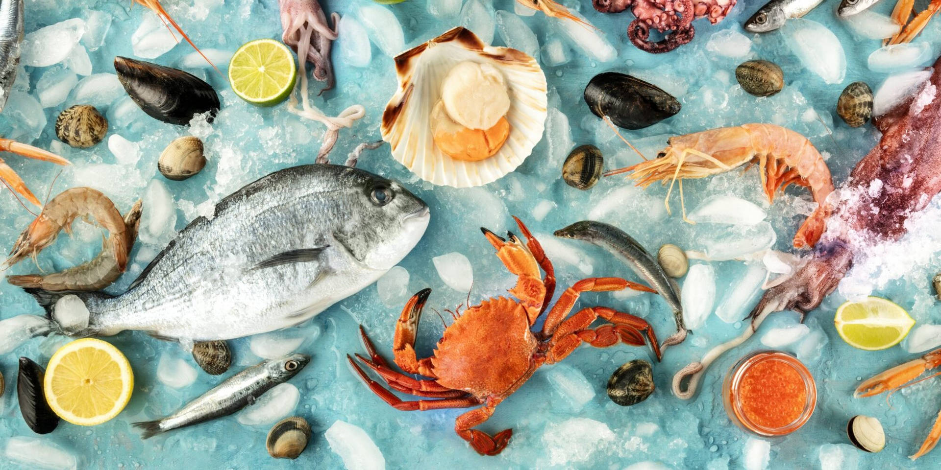 Download Variety Of Raw Seafoods Wallpaper