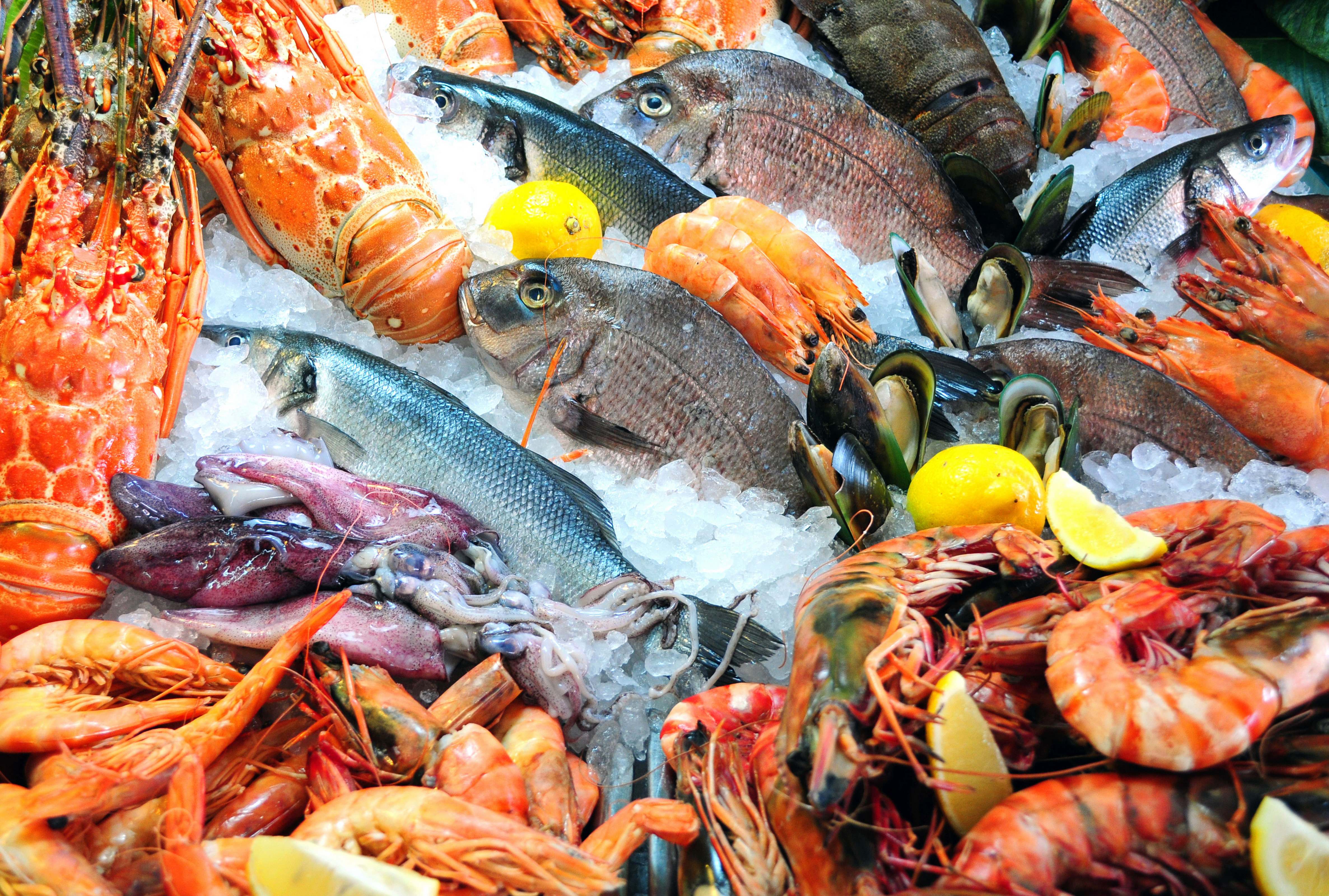Seafood HD Wallpaper and Background