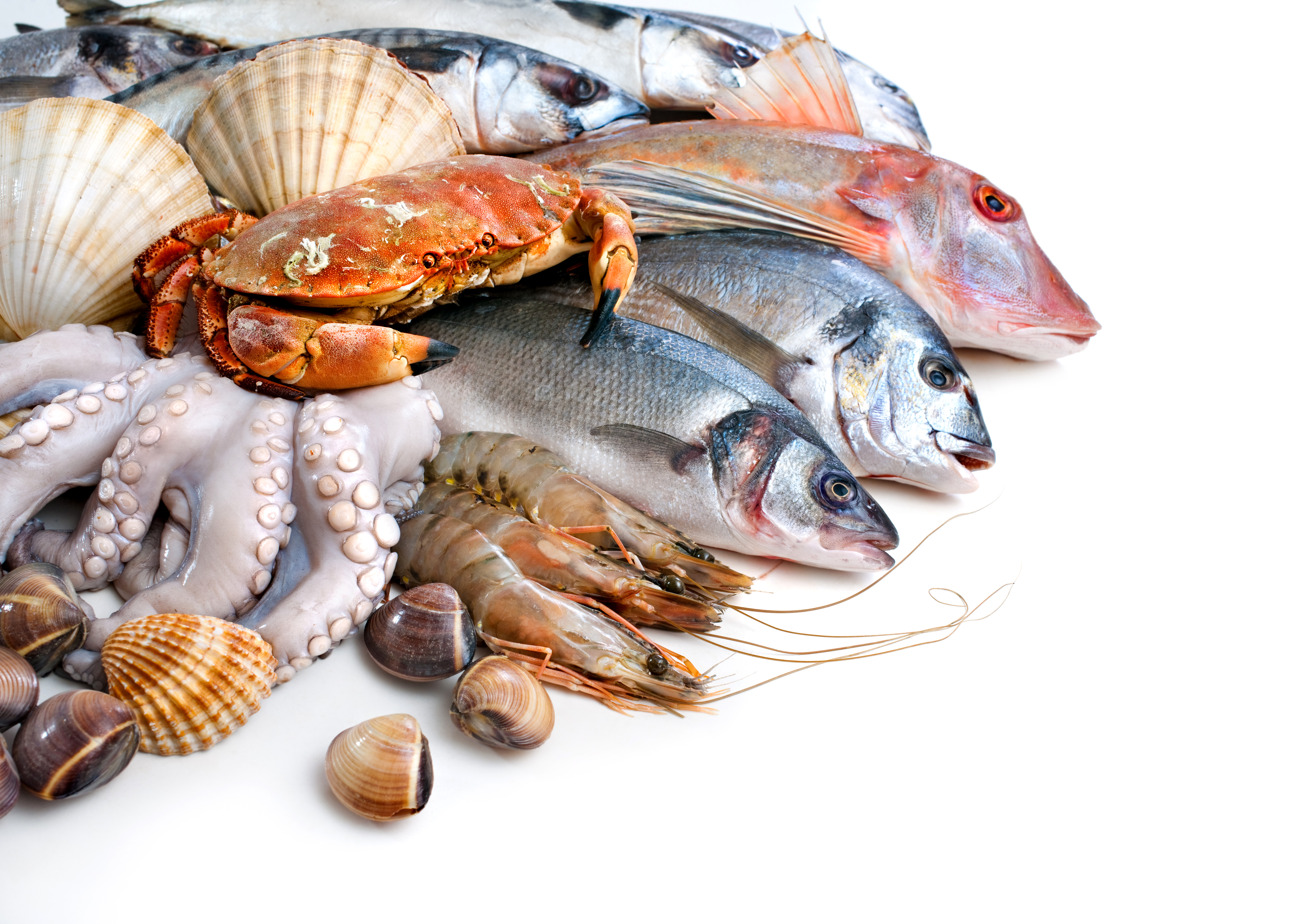Food Seafood 4k Ultra HD Wallpaper