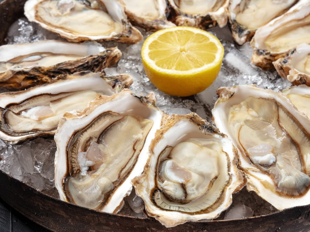 Are Raw Oysters Safe to Eat During Pregnancy?
