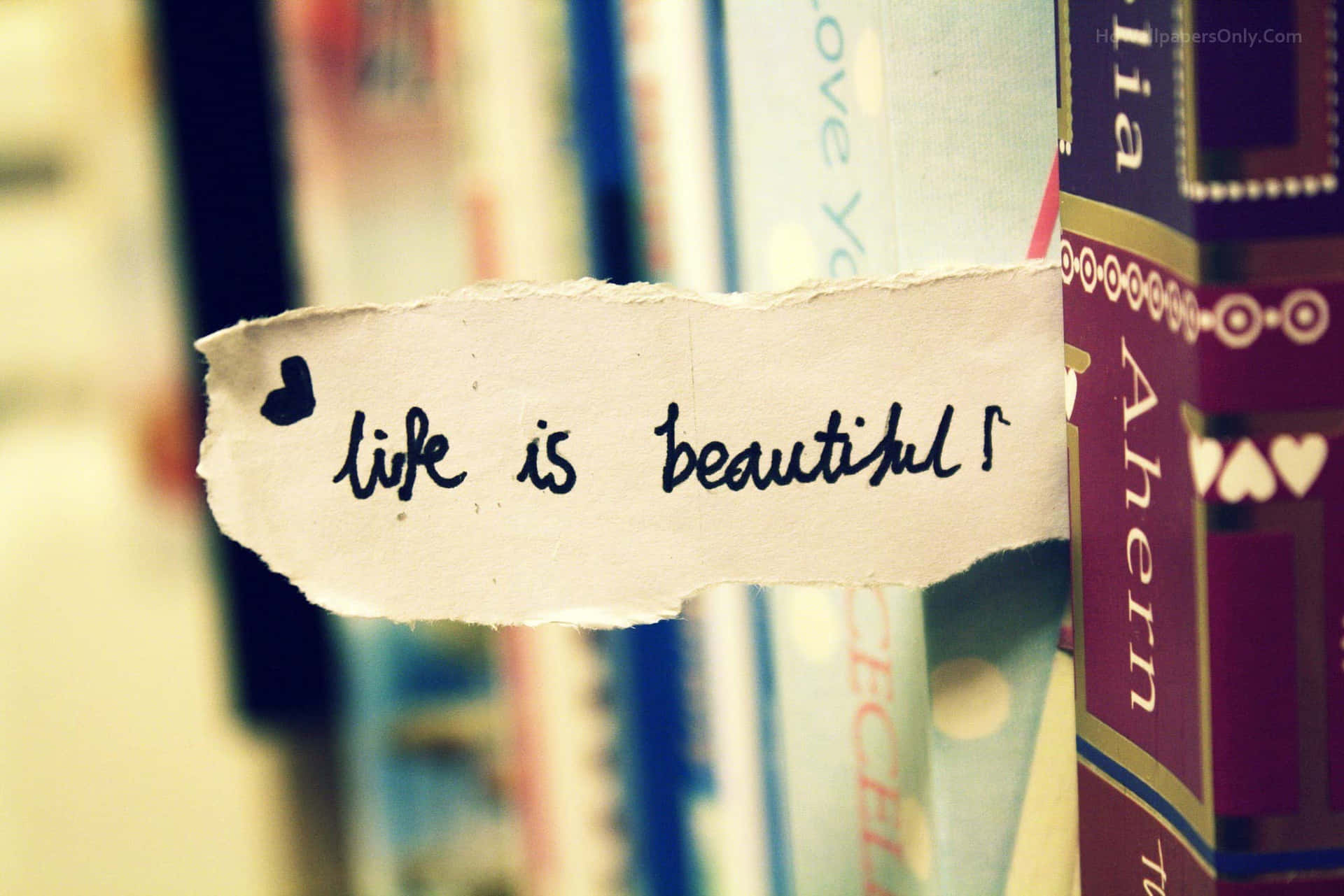 Download Life Is Beautiful, Book, Book Shelf, Book Shelf, Book Shelf, Book Shelf, Book Shelf, Book Shelf, Book Shelf, Book Shelf, Book Shelf Wallpaper