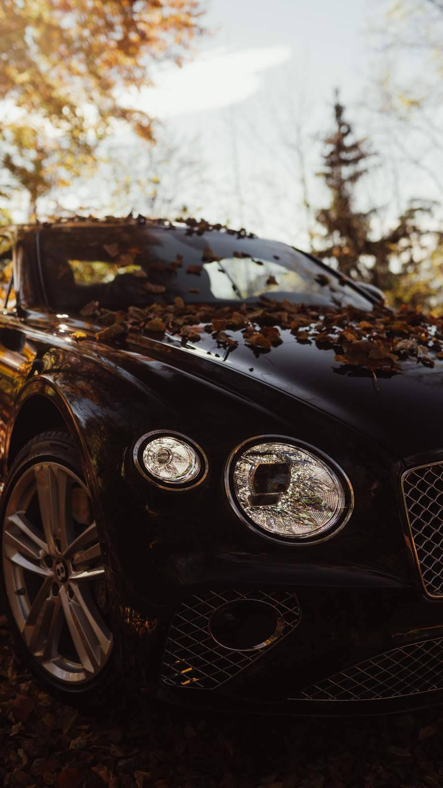 Bentley iPhone Wallpaper Full HD, 4K Free to Use