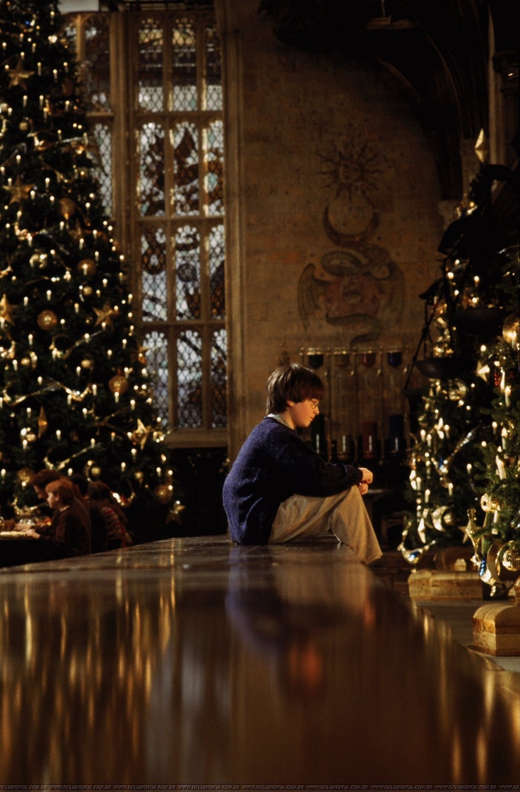 Harry Potter and the Philosopher's Stone. Harry potter christmas, Hogwarts christmas, Harry potter wallpaper